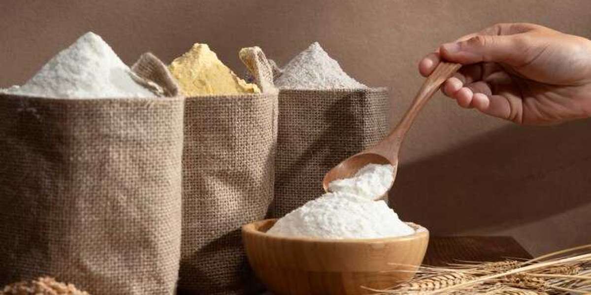 Resistant Starch Market Forecast 2024: Size, Share, Demand, Trends and Growth by 2032