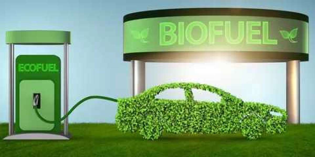 Bioethanol Market Expansion: Exploring Global Potential