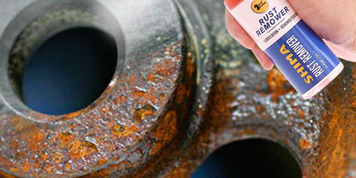 Rust Lubricant Market Report: Competitive Landscape and Strategies