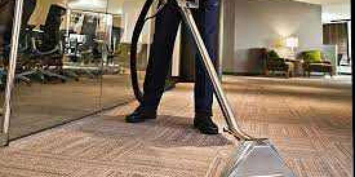 The Importance of Professional Carpet Cleaning for Property Value