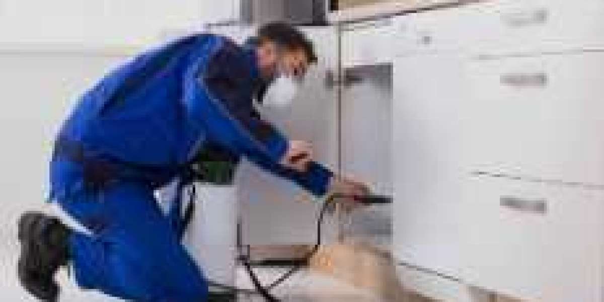 Pest Controller or Plumber in Southend: Which Service Do You Need?