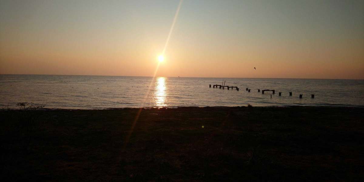 Birdwatching at Snettisham Beach: A Haven for Avian Enthusiasts