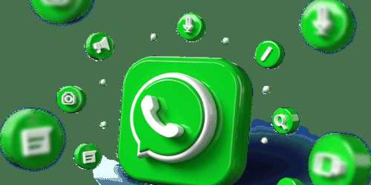 WhatsApp Marketing Transform Client Portfolio Management