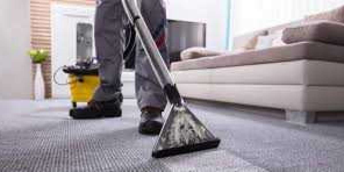 Professional Carpet Cleaning: Necessary for a Clean Living Environment