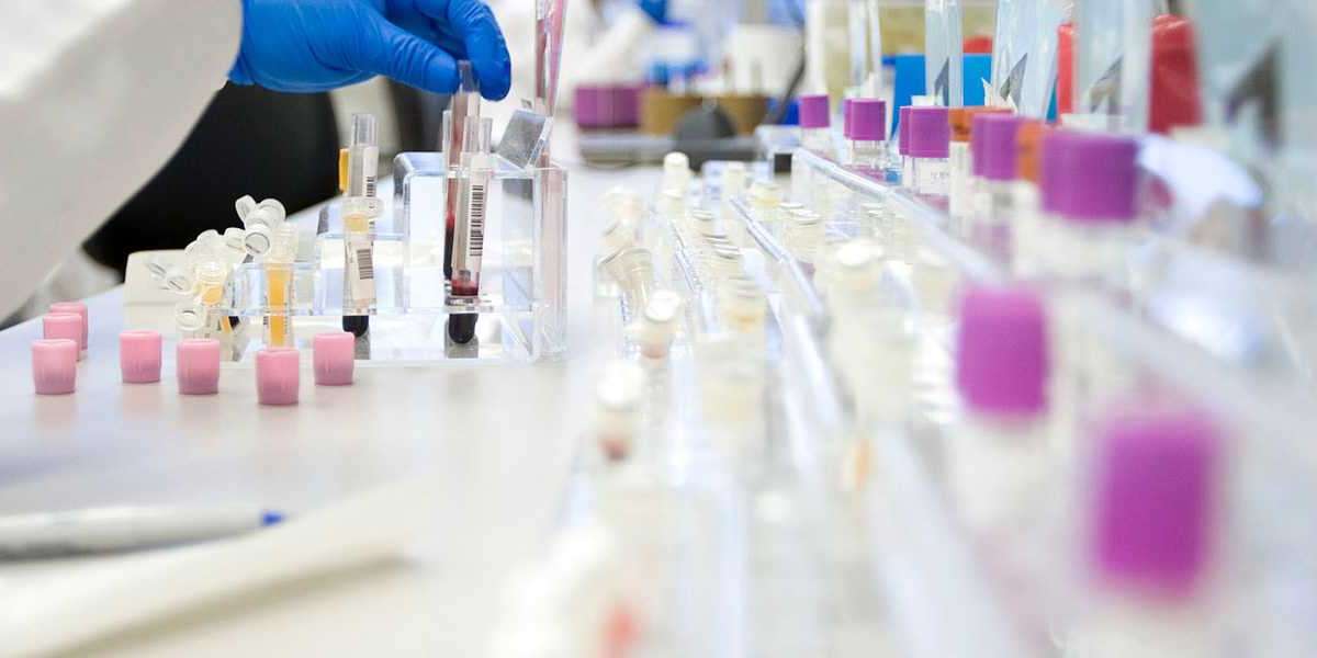 Latin America Biobanking Market Size, Share, Growth, Report and Forecast 2024-2032