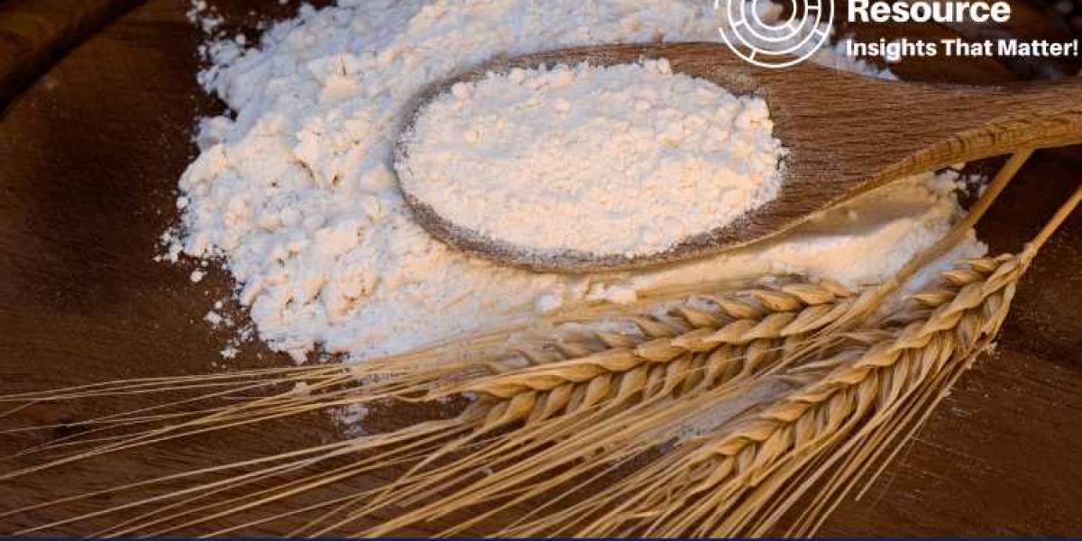 Comprehensive Analysis of the Wheat Starch Price Trend - Market Insights and Future Projections