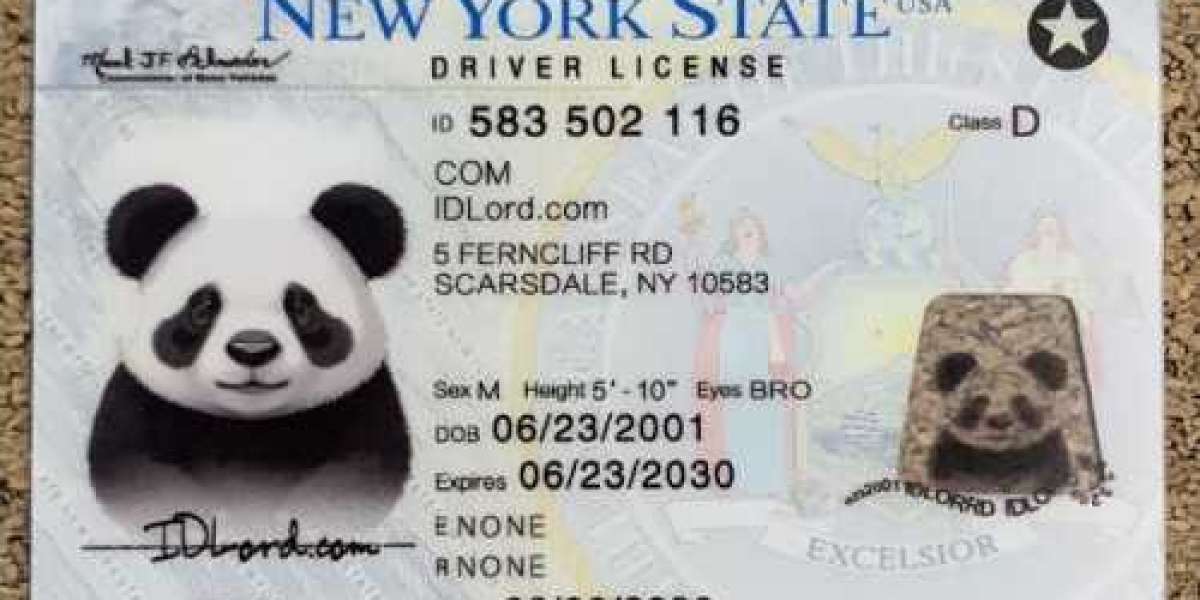 Unlock the Big Apple The Ultimate Guide to Your New York State ID Experience