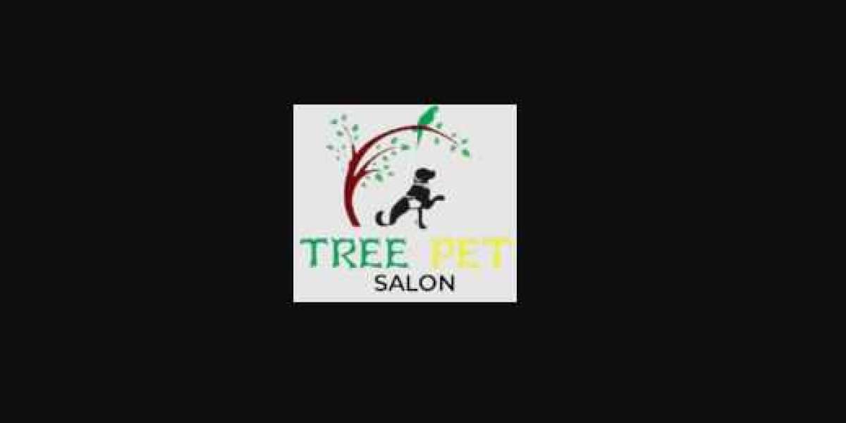 TreePetSalon: Premier Pet Boarding Services in Sharjah