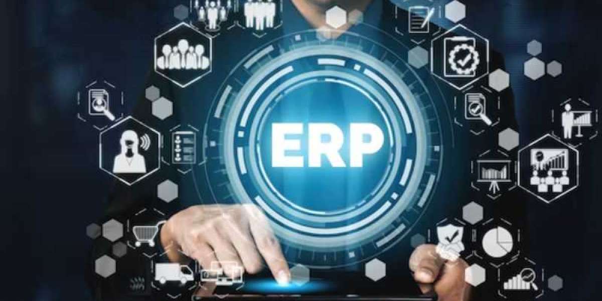 From Spreadsheets to Success: How Small Business ERP Transforms the Economy