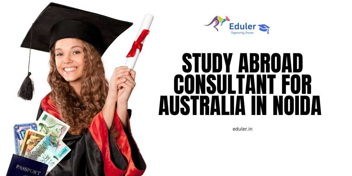 How Can Education Consultants In Noida Help With Australian Visa Requirements? 