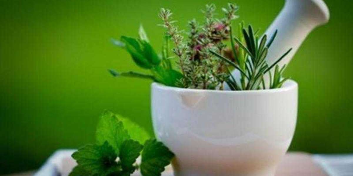 Lemon Balm Extract Market Size, Scope, Forecast to 2032