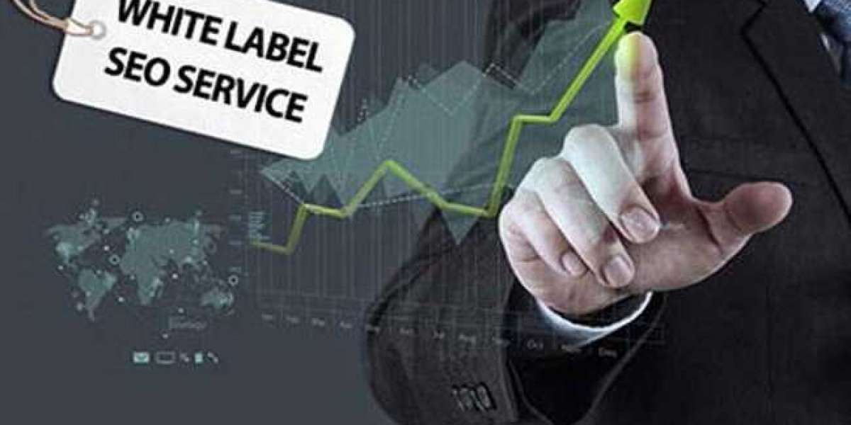 Maximize Your Brand's Potential with White Label SEO Services