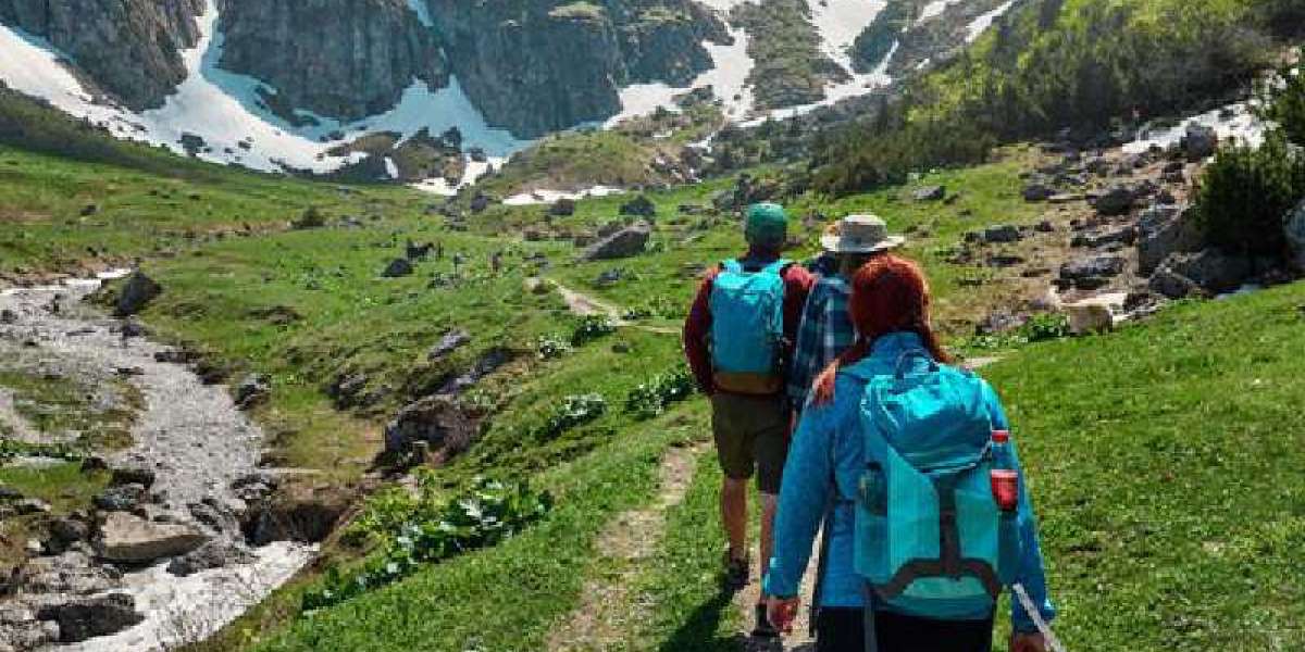 Trekking Essentials For Women: tips for perfect adventure