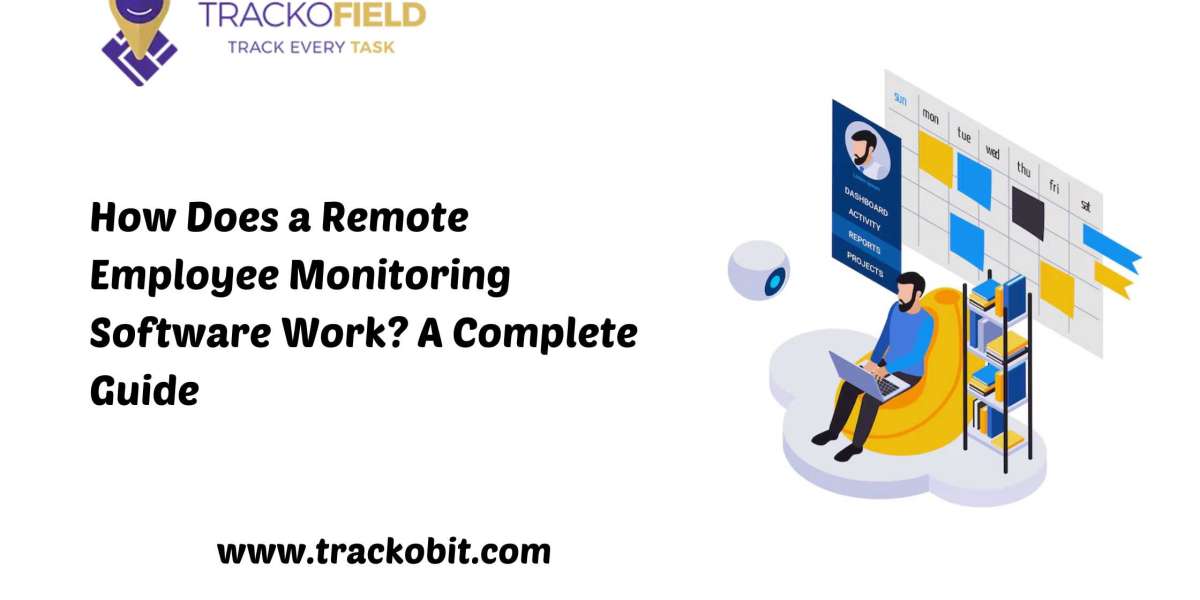 How Does a Remote Employee Monitoring Software Work? A Complete Guide