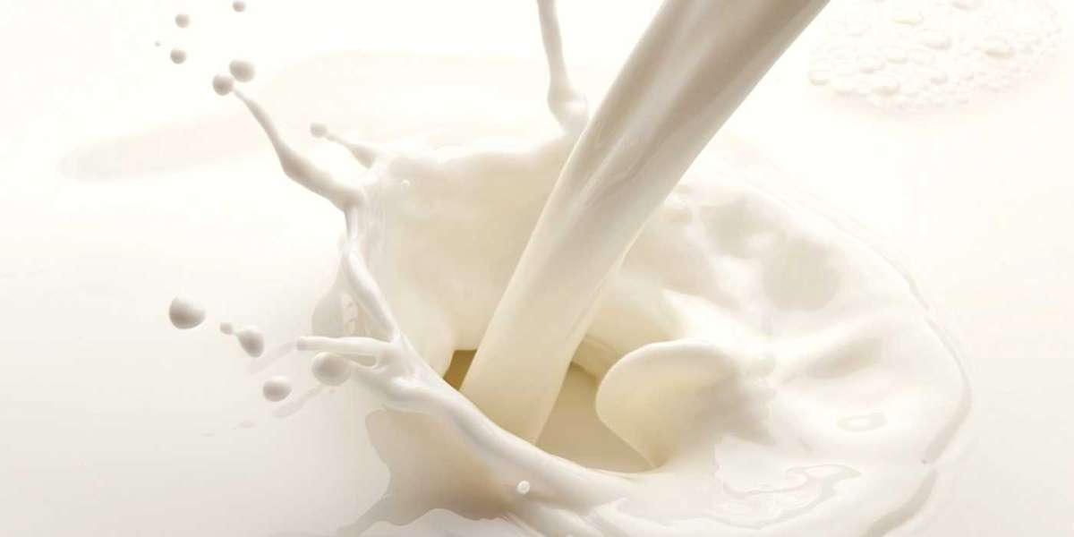 How to Incorporate More Dairy into Your Daily Diet