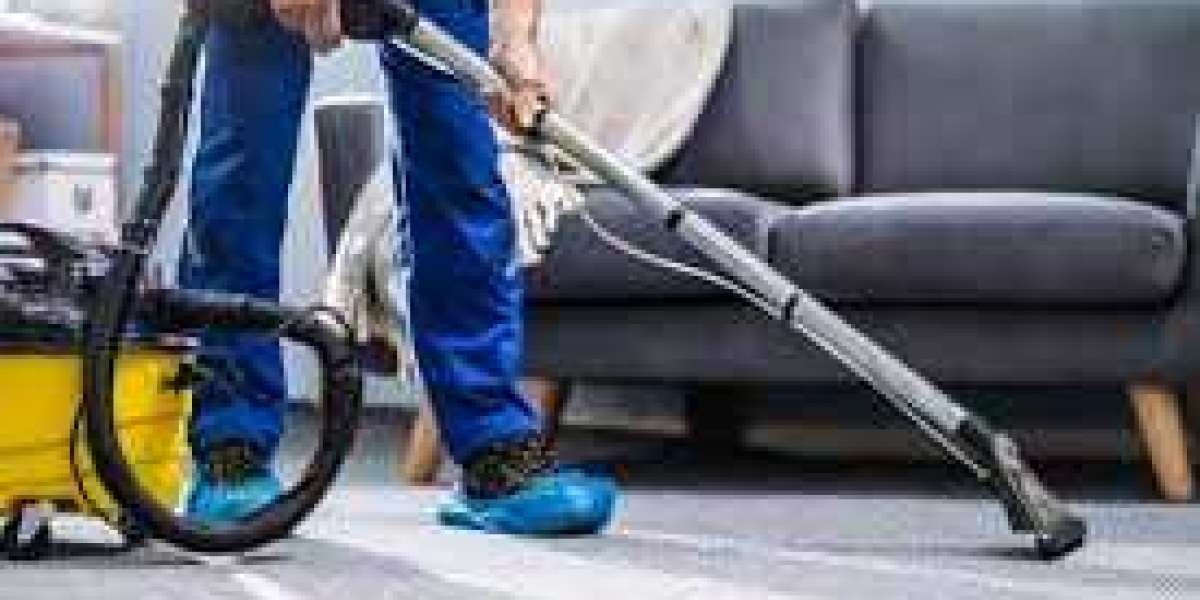 Maximize Your Home’s Comfort with Professional Carpet Cleaning