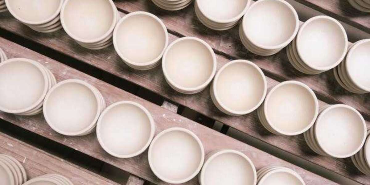 Cost to Setup a Rice Husk Based Biodegradable Cups and Plates Manufacturing Plant- Detailed Project Report on Requiremen