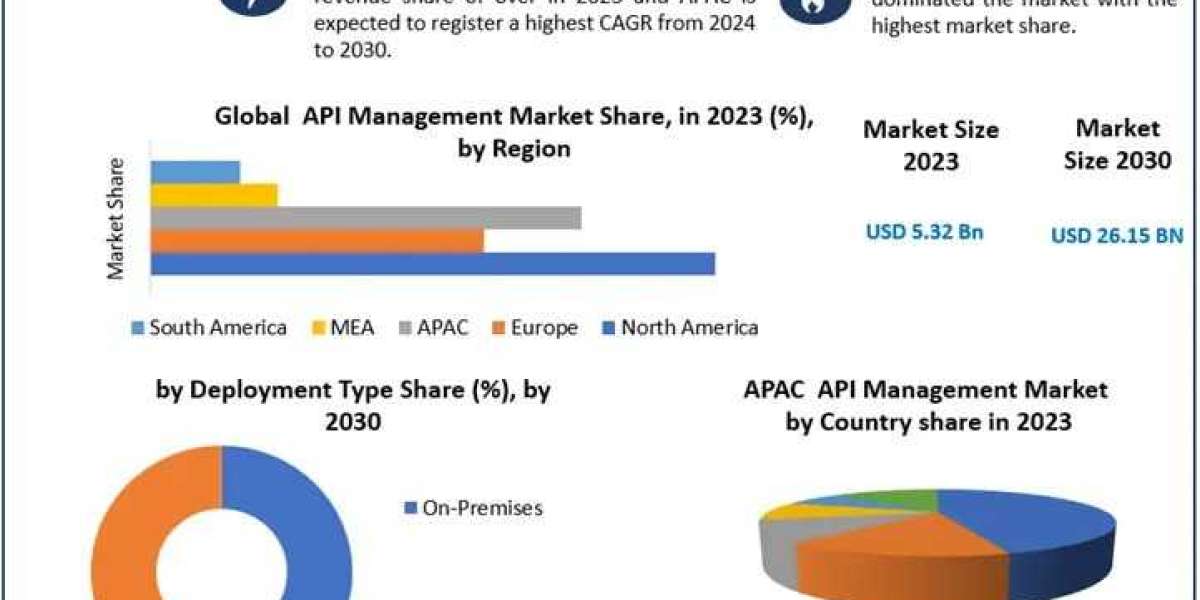 API Management Market Growth Scenario, Trends, Joint Ventures And Business Analysis