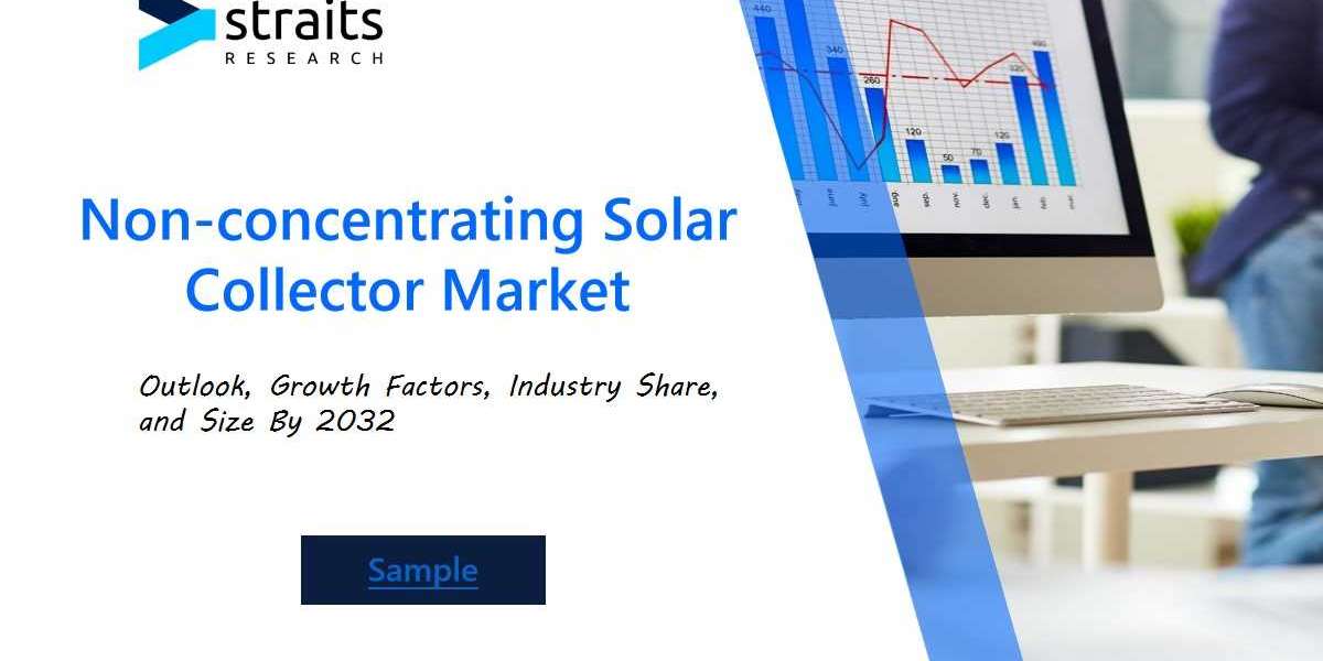 Non-Concentrating Solar Collector Industry Forecast 2024 | Market Trends, Competitive Strategies, and Future Prospects f