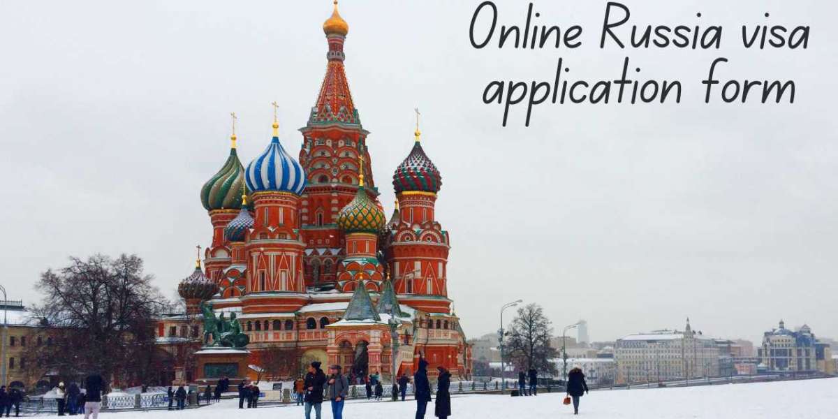 Online Russia visa application form