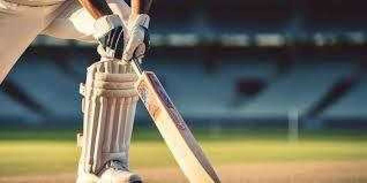 Online Cricket ID Providers: How to Make the Best Choice