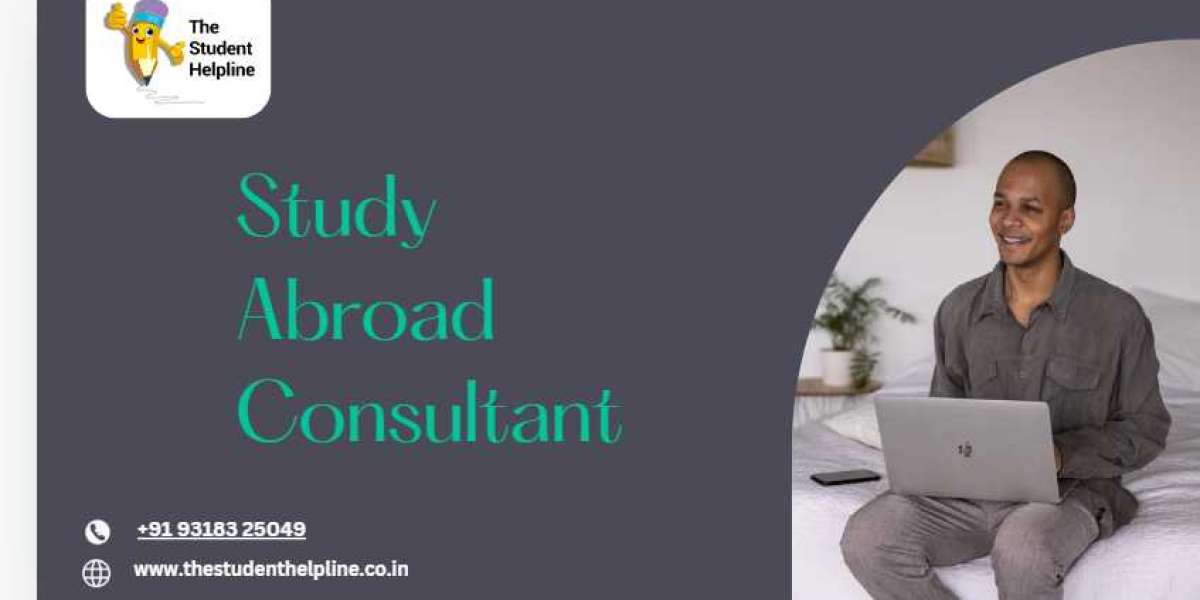 Study Abroad Consultant: Your Key to Navigating International Admissions